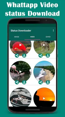 Status downloader Video Image android App screenshot 7